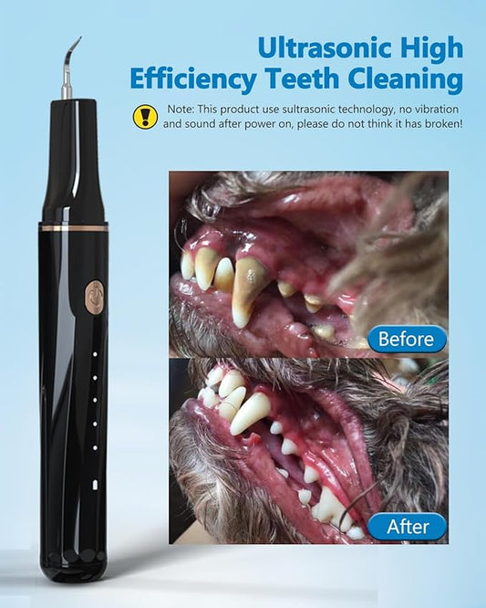 Hansaplast Plaque Remover for Teeth, Dog Teeth Cleaning, Dental Tools to Remove Tartar and Stains, Safe for Dogs & Cats, with Led Light & 5 Adjustable Modes(White) Hansaplast