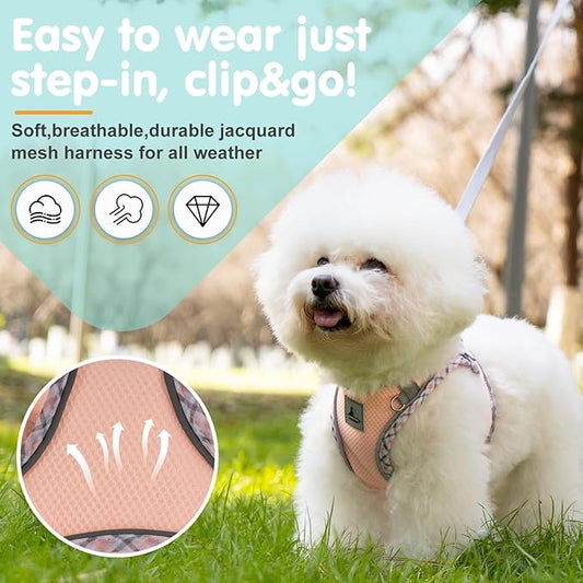 Dog Harness and Leash Set, No Pull Pet Harness for Small Dogs Easy Walking,Soft Breathable Small Dog Harness,Adjustable Reflective Step in Vest Harness for Puppy,Kitten, Cats TomteNisse