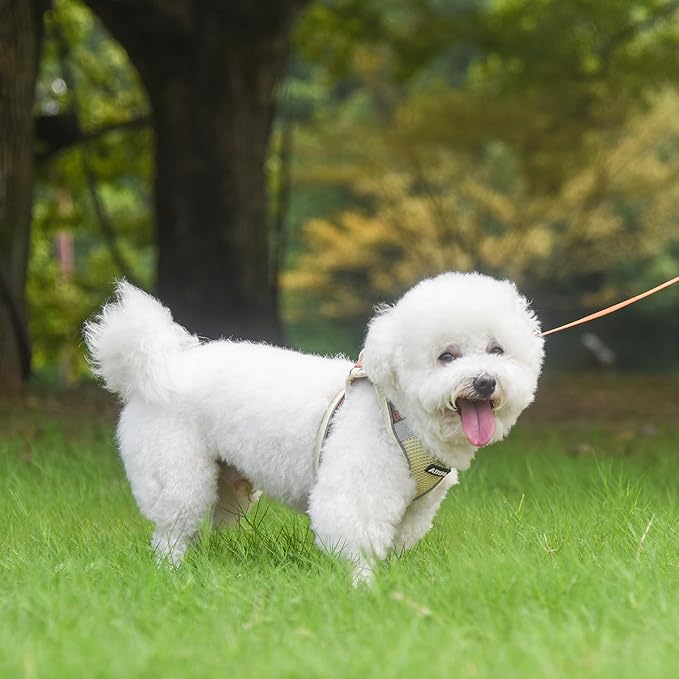 AIITLE Step in Dog Harness and Leash Set - Spring No Pull Escape Proof Vest Harnesses with Soft Mesh and Reflective Bands, Adjustable Pet Outdoor Harnesses for Small and Medium Dogs Beige M AIITLE-FORPETSBETTERLIFE