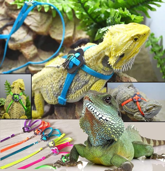 Lizard Leash Bearded Dragon Harness Adjustable Reptile Lizard Harness Leash Parrot Harness Turtle Lizard, Suitable for Gecko Hamster Kitten Small Animal Outdoor Walking,Green Sawyd