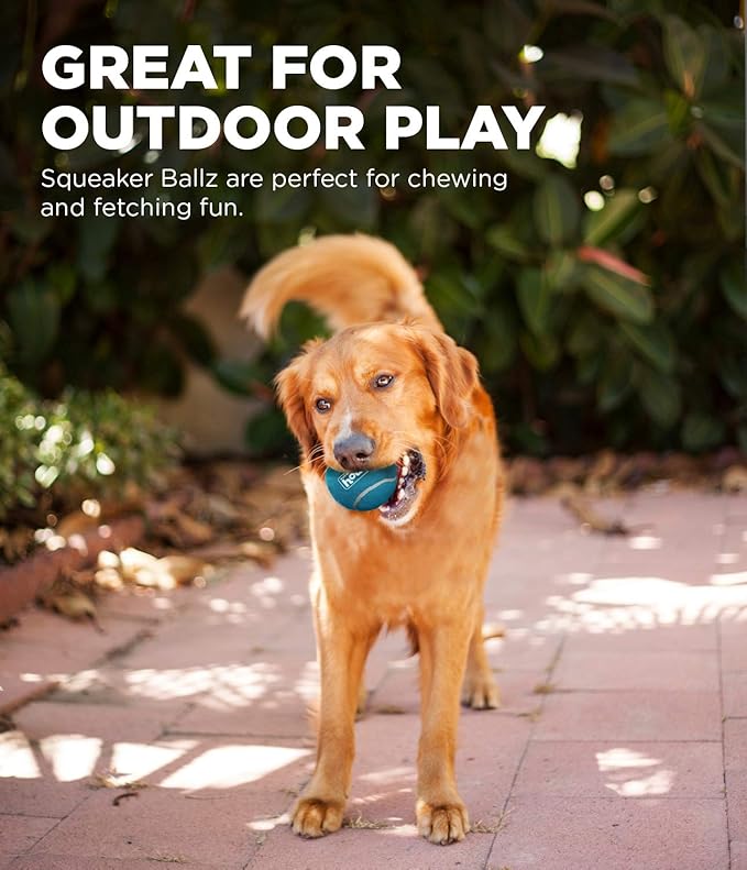 Outward Hound Squeaker Ballz Fetch Dog Toy, Small, 8- Pack - PAWPICO