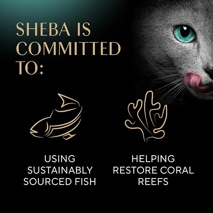 Sheba Perfect Portions Wet Cat Food Pate With Sustainable Salmon and Tender Whitefish & Tuna Entree Variety Pack, 2.6 oz., Twin-Pack Trays (12 Count, 24 Servings) (Pack of 2) - PAWPICO