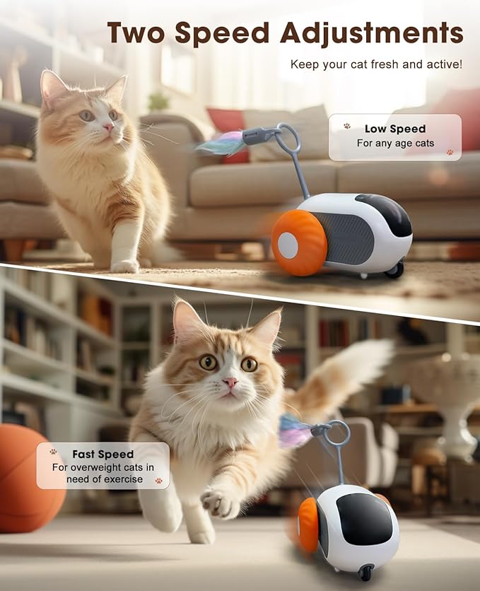 Cat Toys for Indoor Cats, Smart Interactive Cat Toy with Two-Speed Adjustment, Remote Control USB Rechargeable Automatic Cat Exercise Toys for Bored Indoor Adult Cats Kittens (Orange) - PAWPICO