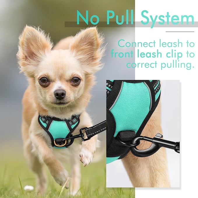 rabbitgoo Dog Harness, No-Pull Pet Harness with 2 Leash Clips, Adjustable Soft Padded Dog Vest, Reflective No-Choke Pet Oxford Vest with Easy Control Handle for Small Dogs, Turquoise, XS - PAWPICO