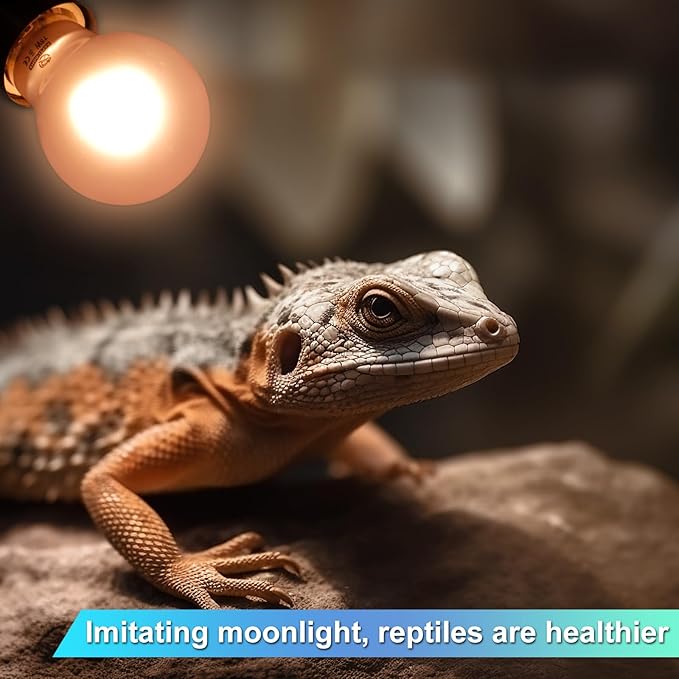 Reptile Night Heat Lamp, 2 Pack 75W Moonlight Heat Lamp for Reptiles & Amphibians, Reptile Night Heat Light for Bearded Dragon, Lizard, Turtle REPTIHOME