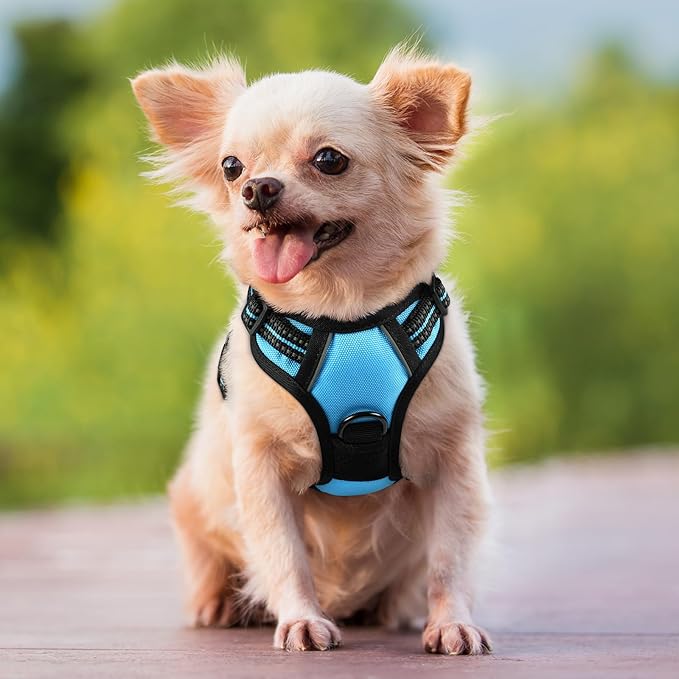 rabbitgoo Dog Harness No Pull with 2 Leash Clips, Adjustable Soft Padded, Reflective Oxford No Choke Pet Vest with Easy Control Handle for Puppy, Blue, XS rabbitgoo