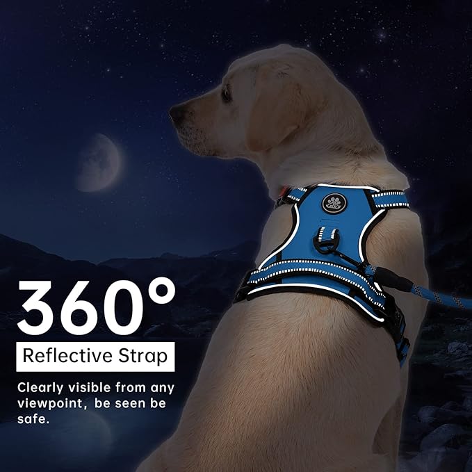 IVY&LANE No Pull Dog Harness for Large Dogs, Dog Vest Harness with Leash, Safety Belt and Storage Strap, Fully Adjustable Harness, 360° Reflective Strip, Soft Handle (Blue,XL) IVYLANE