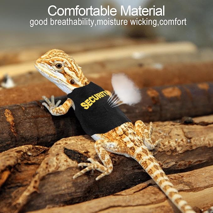 Bearded Dragon Harness and Leash Set - Self-Adhesive Adjustable Lizard Reptiles Harness Bearded Dragon Accessories, Bearded Dragon Clothes with 67in Escape Proof Nylon Leash for Walking Outdoor PAWPICO