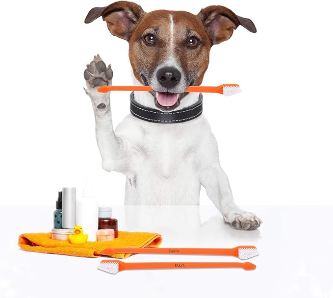 Double Headed Pet Dog Toothbrush for Small Dogs/Soft Bristles Puppy Long Handle Tooth Brush Dogs Teeth Cleaning/Bulk Toothbrushes Dental & Oral Care… (MIXED10) EASYAS