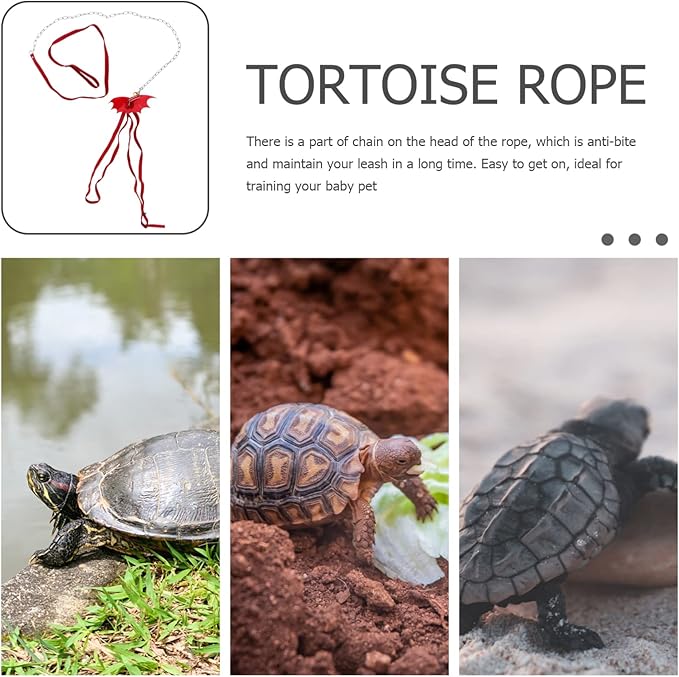 Turtle Wing Design Harness Strap Chest Collar Adjustable Rope Walking Control Rope Great for Turtle Reptile (Red L) POPETPOP