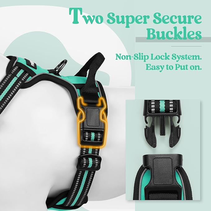 rabbitgoo Dog Harness No Pull with 2 Leash Clips, Adjustable Soft Padded, Reflective Oxford No Choke Pet Vest with Easy Control Handle for Large Dogs, Turquoise, L rabbitgoo