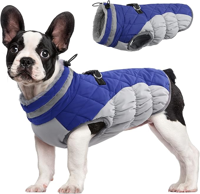 FUAMEY Dog Coat,Warm Dog Jacket Winter Coat Paded Dog Fleece Vest Reflective Dog Cold Weather Coats with Built in Harness Waterproof Windproof Dog Snow Jacket Clothes with Zipper Blue Small - PAWPICO