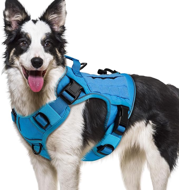 WINGOIN Blue Tactical Dog Harness for Large Dogs No Pull Adjustable Pet Harness with Handle Reflective K9 Military Service Dog Vest for Walking Hiking Training (XL) WINGOIN