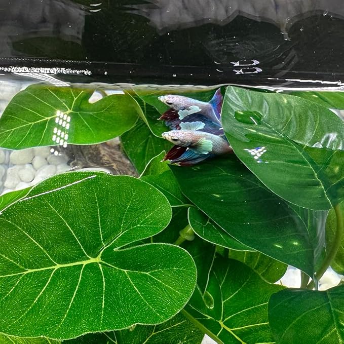 Smoothedo-Pets Fish Tank Decor Aquarium Decorations Ornaments Betta Leaf pad Hammock 6inch Plastic Artificial Plant Goldfish Fish Hides Small Tank/Reptiles Plants Driftwood (Green-Type-A) EnvironmentFriendlyArtificialPlasticPlantAquariumDecoration