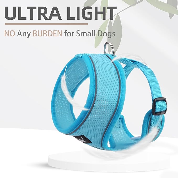 PUPTECK Soft Mesh Dog Harness and Leash Set Pet Puppy Cat Comfort Padded Vest No Pull Harnesses, Solid LightBlue, M PUPTECK