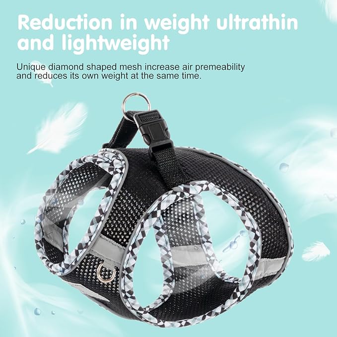 Dog Harness and Leash Set, No Pull Pet Harness for Small Dogs Easy Walking,Soft Breathable Small Dog Harness,Adjustable Reflective Step in Vest Harness for Puppy,Kitten, Cats TomteNisse
