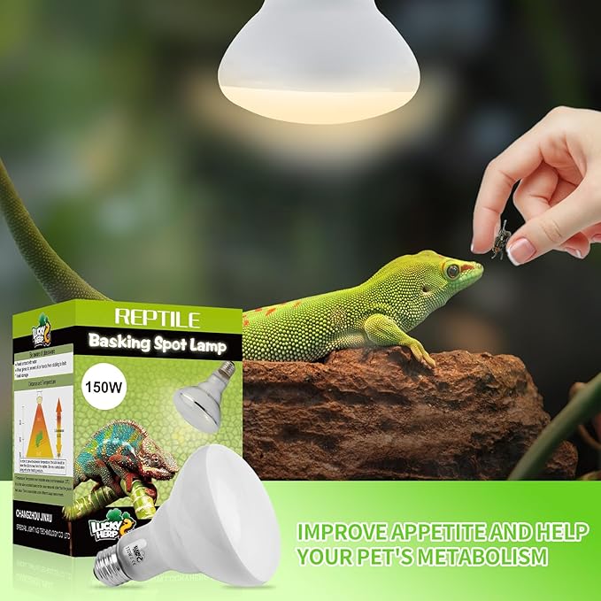 LUCKY HERP Heat Lamp Bulbs - 150W Reptile Heat Lamp 1 Pack, Daylight Basking Heat Lamp Bulbs for Reptile, UVA Heat Light Bulb for Reptiles, Amphibians, Bearded Dragons, Lizards, Turtles, Chickens LUCKYHERP