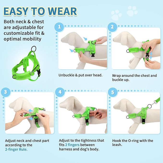 SlowTon No Pull Small Dog Harness and Leash Set, Puppy Soft Vest Harness Neck & Chest Adjustable, Reflective Lightweight Harness & Anti-Twist Pet Lead Combo for Small Medium Dogs (Green-Front Clip,XS) SlowTon