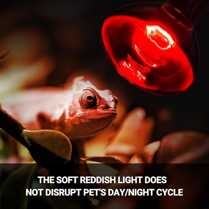 REPTIZOO 75W Reptile Heat Lamp Bulb, 2PCS Day & Night Basking Spot Light Combo Pack Includes Infrared Heat Lamp and UVA Daylight Heating Lamp Basking Light REPTIZOO