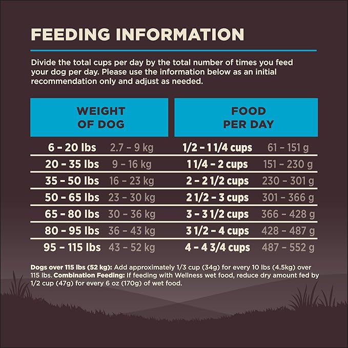 Wellness CORE Grain-Free High-Protein Dry Dog Food, Natural Ingredients, Made in USA with Real Meat, All Breeds, For Adult Dogs (Ocean Whitefish, Herring & Salmon, 4-Pound Bag) - PAWPICO