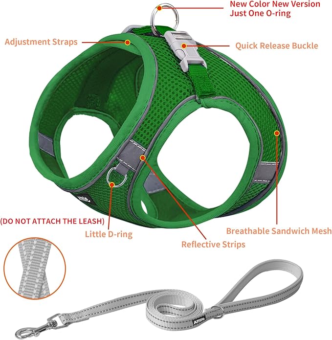 AIITLE Dog Harness, Spring No-Pull Cat Harness with a Leash, Adjustable Reflective Dog Vest, Cat Harness Escape Proof, Outdoor Walking, Camping for Extra Small Dogs and House Cats Green XXXS AIITLE-FORPETSBETTERLIFE