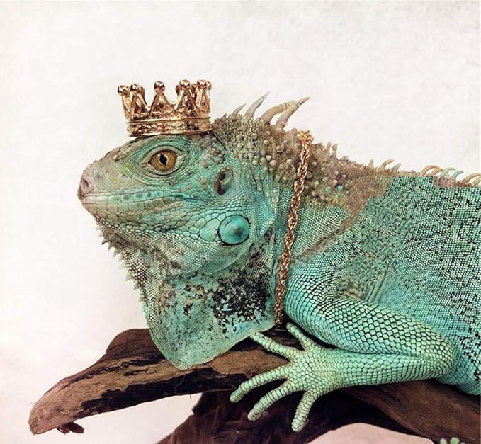HAICHEN TEC Lizard Crown Lizard Clothes Accessories Gold Alloy Crown Cool Reptile Costume Photo Props Party Jewelry Lizard Clothes for Bearded Dragons Leopard Gecko Iguana Amphibians (Crown) HAICHENTEC