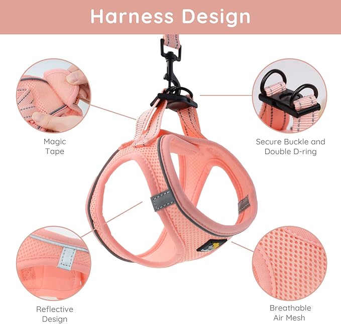 BELLA & PAL Puppy Harness with Leash Set, Dog Harness for Small Dogs No Pull, Dog Leash for Small Dogs, Step in Harness for Extra Small Dogs, Pink Harness, S BELLAPAL