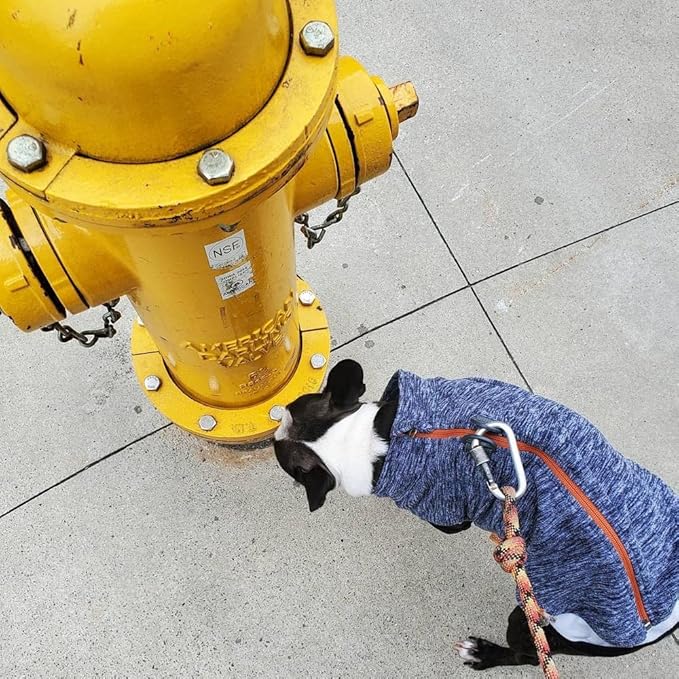 Gooby Zip Up Fleece Dog Sweater - Gray Wash, Large - Warm Pullover Fleece Step-in Dog Jacket with Dual D Ring Leash - Winter Small Dog Sweater - Dog Clothes for Small Dogs Boy and Medium Dogs - PAWPICO