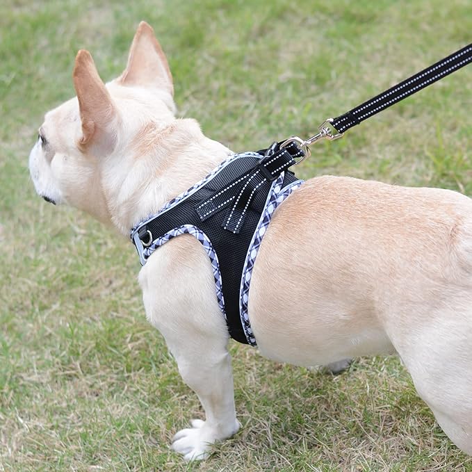 Mercano Soft Mesh Dog Harness and Leash Set, No-Chock Step-in Reflective Breathable Lightweight Easy Walk Escape Proof Vest Harnesses with Safety Buckle for Small Medium Dogs, Cats (Black White, L) PAWPICO
