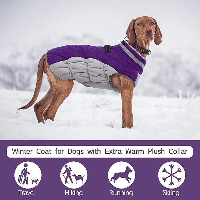 FUAMEY Dog Coat,Warm Dog Jacket Winter Coat Paded Dog Fleece Vest Reflective Dog Cold Weather Coats with Built in Harness Waterproof Windproof Dog Snow Jacket Clothes with Zipper Purple X-Large - PAWPICO