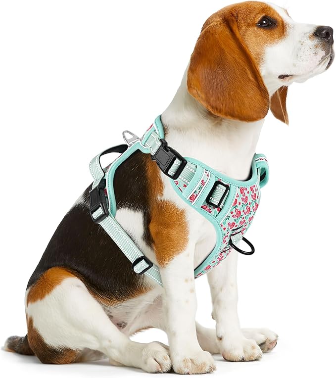 Timos No Pull Dog Harness, Release at Neck Reflective 3 Snap Buckles Adjustable No Choke Pet Vest with Front & Back 2 Leash Clips, Soft Padded Control Training Handle for Small Medium Large Dogs Timos