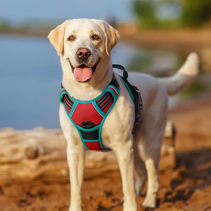 rabbitgoo Dog Harness, No-Pull Pet Harness with 2 Leash Clips, Adjustable Soft Padded Dog Vest, Reflective No-Choke Pet Oxford Vest with Easy Control Handle for Large Dogs, Red & Teal, L - PAWPICO