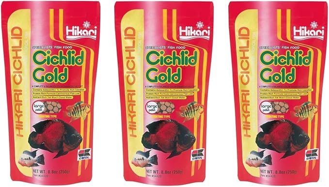 (3 Pack) Hikari Cichlid Gold Floating Pellets Large, 8.8-Ounce Hikari
