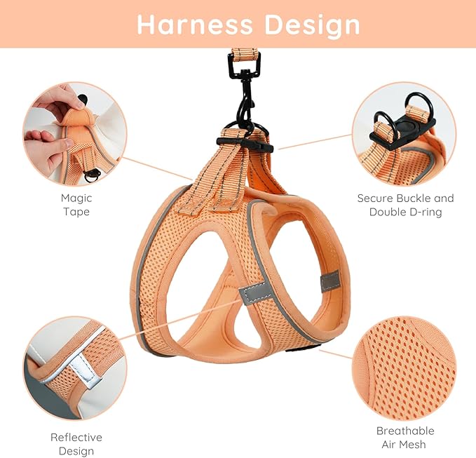 BELLA & PAL Puppy Harness with Leash Set, Dog Harness for Small Dogs No Pull, Dog Leash for Small Dogs, Step in Harness for Extra Small Dogs, Peach Harness, L BELLAPAL