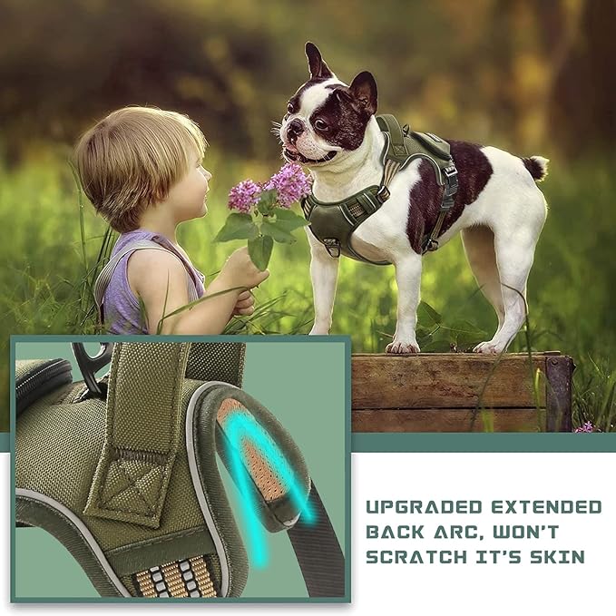 No Pull Dog Harness for Medium Dogs, Adjustable No Choke Pet Vest with Dog Leash Fit Smart Reflective Pet Walking Harness for Training Easy Control Soft Handle Green M BUMBIN