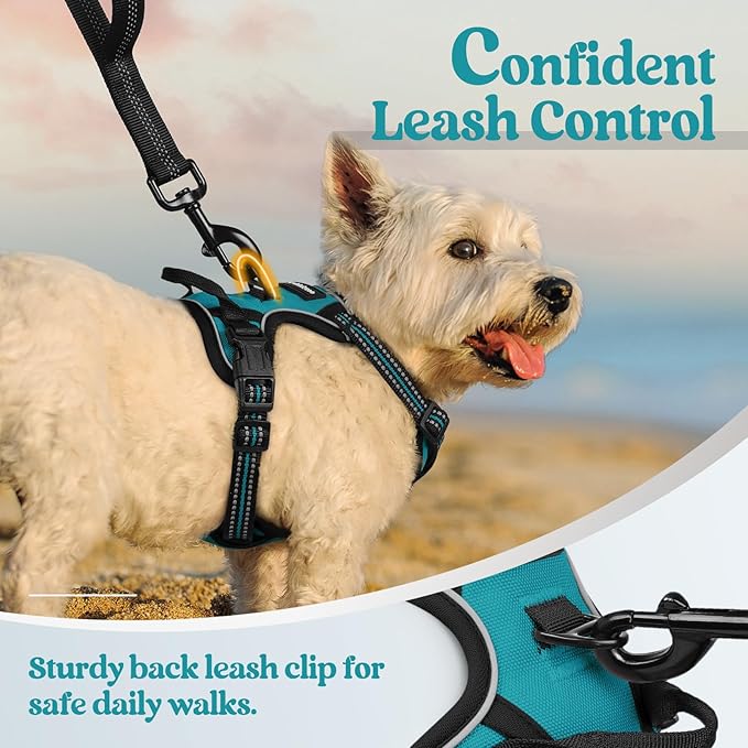 rabbitgoo Dog Harness No Pull with 2 Leash Clips, Adjustable Soft Padded, Reflective Oxford No Choke Pet Vest with Easy Control Handle for Puppy, Teal, XS rabbitgoo