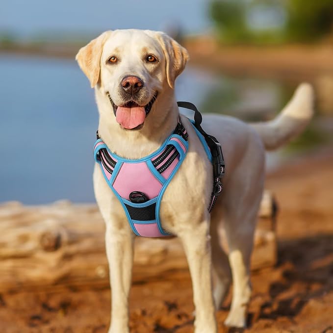 rabbitgoo Dog Harness No Pull with 2 Leash Clips, Adjustable Soft Padded, Reflective Oxford No Choke Pet Vest with Easy Control Handle for Medium Sized Dogs, Pink & Blue, M rabbitgoo