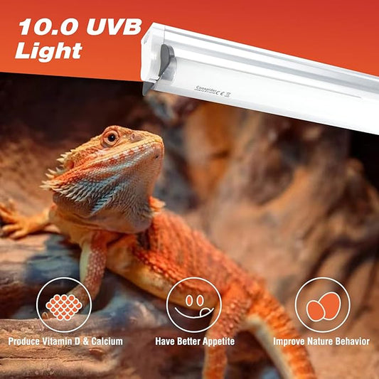 Hypool T8 Strip UVB UVA Reptile Lighting Fixture with 18-Inch 15 Watt UVB 10.0 Fluorescent Bulb Combo Kit 10-Percent UVB Desert Pet Habitat Light for Reptiles Amphibian Hypool