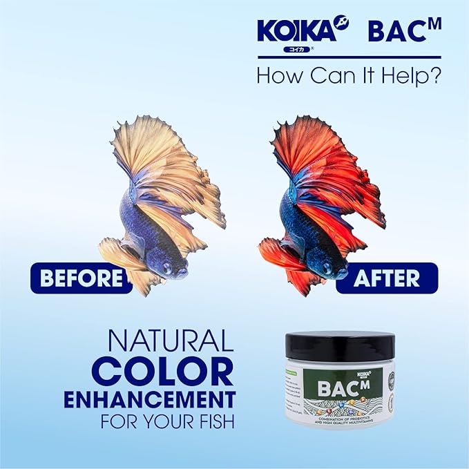 KOIKA BACM Natural Color Enhancement for Fish, Combination of Probiotic & Multi-Vitamins for Aquarium A, B6, B2, Pleasant Smell (BACM, 105ml) Koika