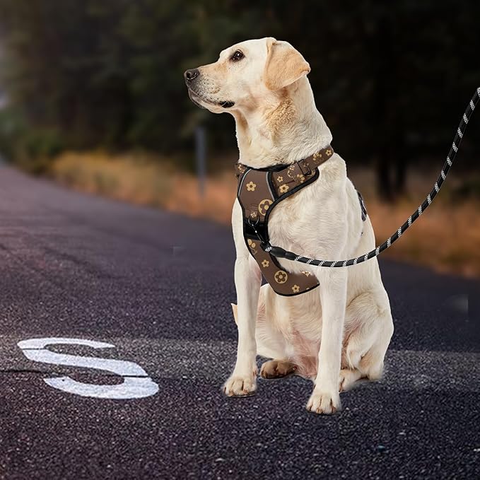IVY&LANE No Pull Dog Harness with Leash Set, Reflective No Choke Pet Vest,Adjustable Oxford Dog Vest Harness with Easy Control Handle for Medium Dogs (Dark Brown,M) IVYLANE