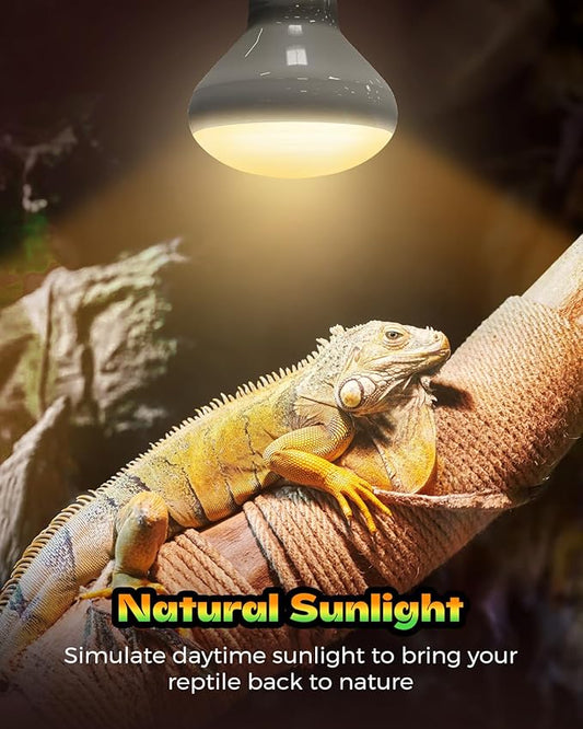 Reptile Heat Lamp, 2 Pack 100W Heat Lamp Bulbs for Reptiles, Amphibians Basking Heat Lamp Bulbs, UVA Daylight Basking Light for Reptiles, Bearded Dragon, Lizard, Turtle, Chicken Haceryc