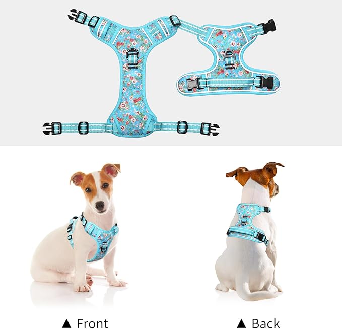 Timos Dog Harness, No-Pull Pet Harness with 2 Leash Clips, Adjustable Soft Padded Dog Vest, Reflective Outdoor Pet Oxford Vest with Easy Control Handle Sky Blue Timos