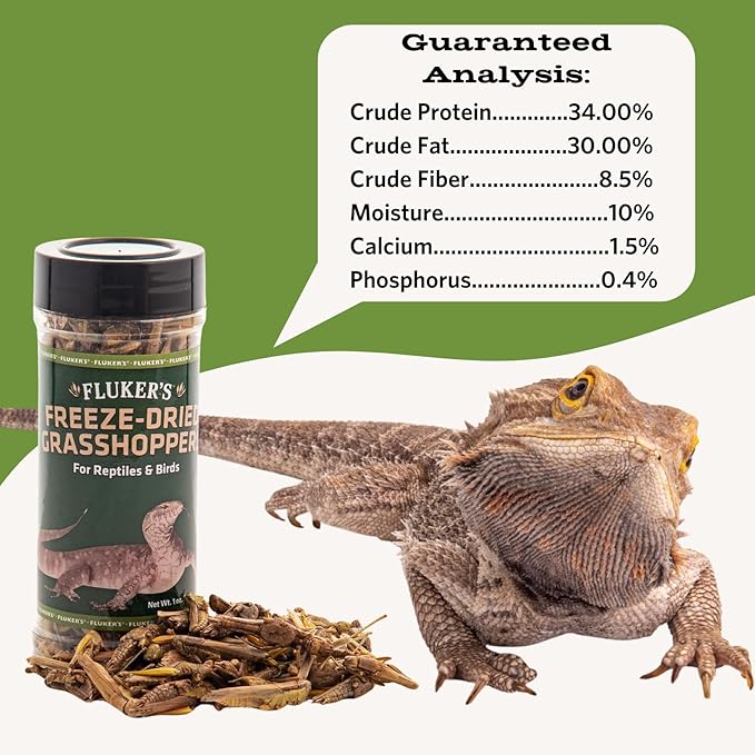 Fluker's Freeze Dried Grasshoppers, Nutrient-Packed, Ideal for Lizards, Reptiles, Birds, Fish, Hedgehogs, 1.7 oz Flukers