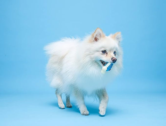 Hartz Chew 'n Clean Tuff Bone Bacon Scented Dental Dog Chew Toy - Extra Small - PAWPICO