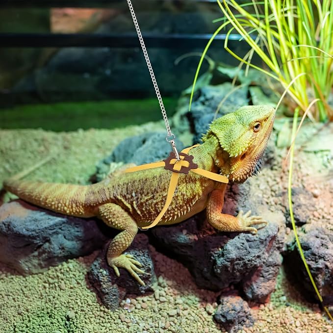 2 Pack Adjustable Reptile Harness and Leash for Lizard Gecko Bearded Dragon Outside Walk (Yellow) Wontee