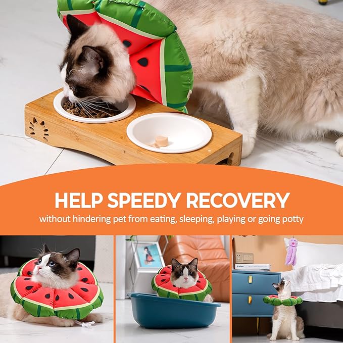 Avont Cat Cone Collar Soft, Adjustable Recovery E Collar Alternative for Cats Kittens Puppies, Elizabethan Neck Cone of Shame to Prevent Licking Biting After Surgery Protect Wounds -Melon(S) Avont