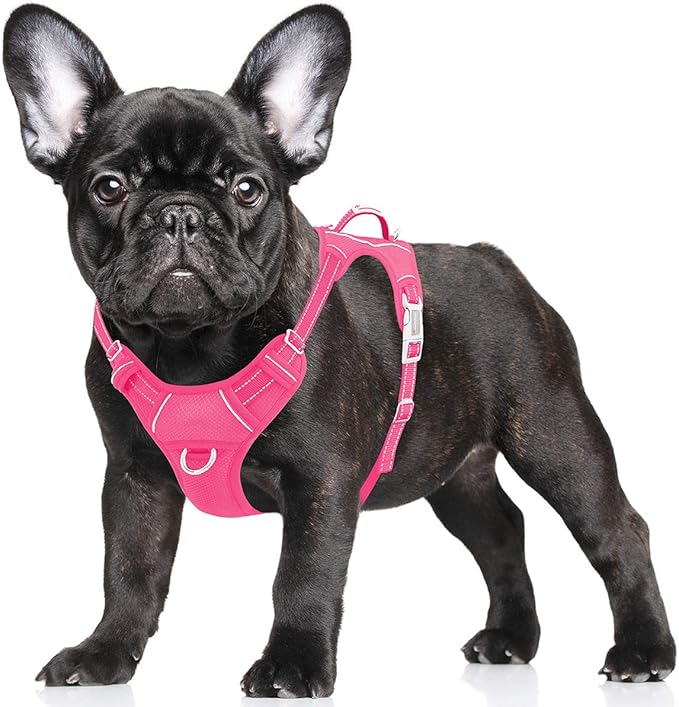 BARKBAY No Pull Dog Harness Large Reflective Dog Harness with Front Clip and Easy Control Handle for Walking Training Running with ID tag Pocket(Pink,S) BARKBAY
