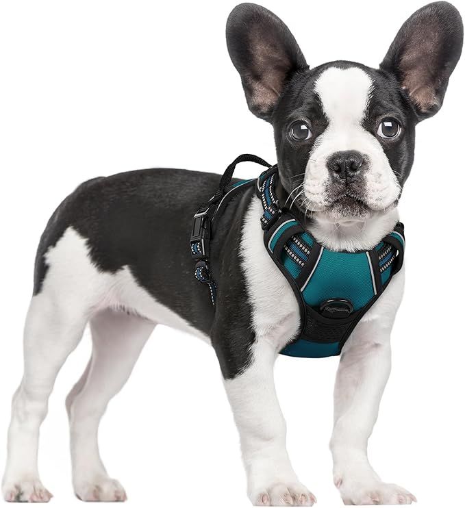 rabbitgoo Dog Harness No Pull with 2 Leash Clips, Adjustable Soft Padded, Reflective Oxford No Choke Pet Vest with Easy Control Handle for Small Dogs, Blue Coral, S rabbitgoo