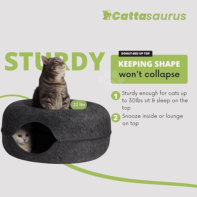 CATTASAURUS Peekaboo Cat Cave for Multiple & Large Cats Up to 30-45 Lbs, Scratch Detachable & Washable Tunnel Bed, Comfy Donut Cat Cave (Dark Gray, Large) - PAWPICO