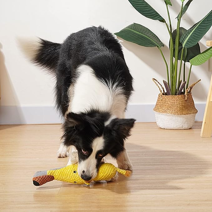 Sedioso Dog Toys, Dog Plush Toy for Large Breed, Cute Squeaky Dog Toys with Crinkle Paper, Dog Chew Toys for Puppy, Small, Middle, Big Dogs (Lion(Yellow)) - PAWPICO